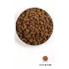 ORIJEN Puppy - dry dog food - 6kg