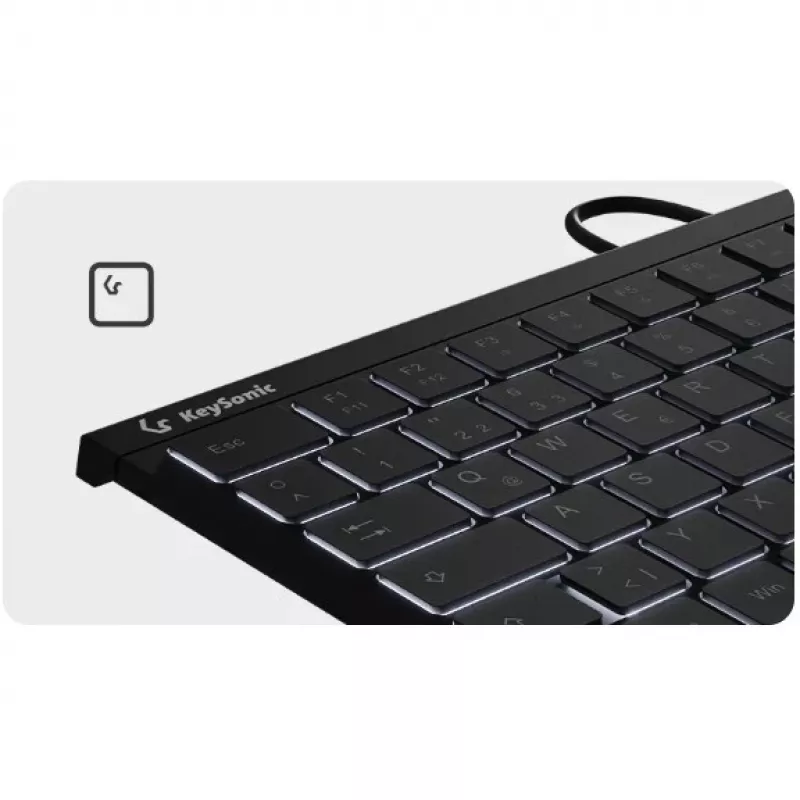 KeySonic KSK-5011ELC (DE) keyboard Home USB QWERTZ German Black