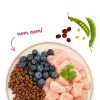 BOSCH Sanabelle Adult Chicken & Blueberries - dry cat food - 2kg