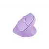 NATEC Crake 2 mouse Universal Right-hand RF Wireless + Bluetooth Optical 2400 DPI