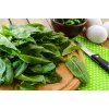 New Zealand Spinach Toraf Vegetable Seeds, 5g Package