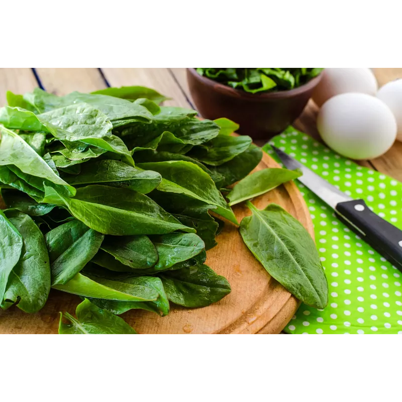 New Zealand Spinach Toraf Vegetable Seeds, 5g Package
