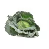 Vegetable Seeds Apte Savoy Cabbage Langedijska — seed pack 2 g