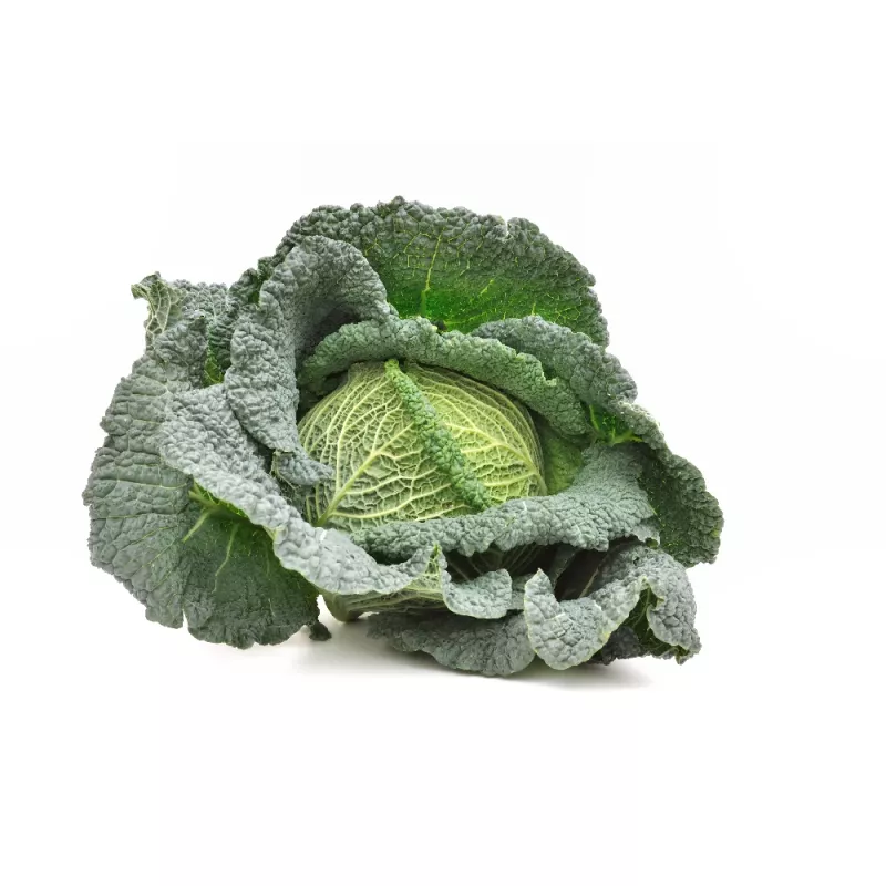 Vegetable Seeds Apte Savoy Cabbage Langedijska — seed pack 2 g