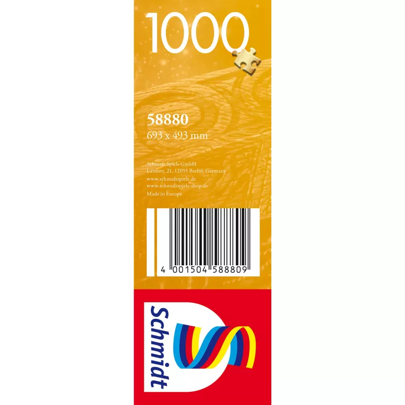 Der Astronom, Puzzle 1000 Pieces