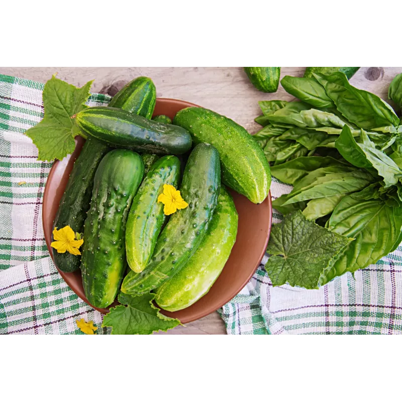 Srem Cucumber F1 Toraf Vegetable Seeds, 5g Pack