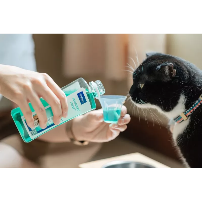 Oral hygiene solution VIRBAC VET AQUADENT 250 ml for pets