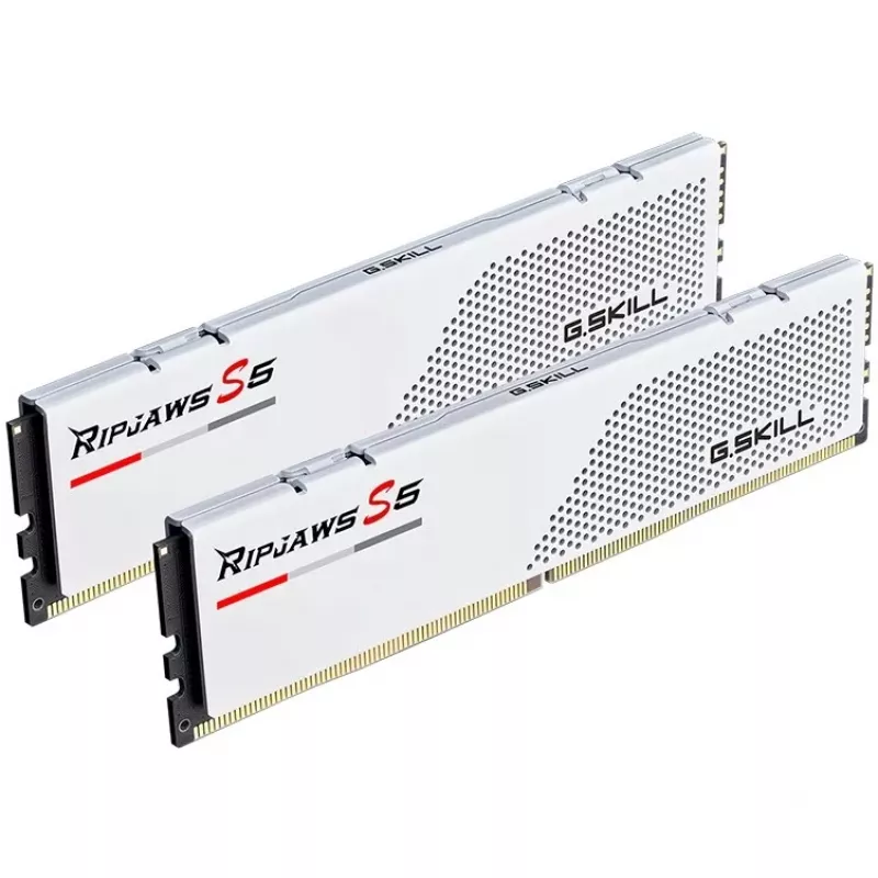 G.Skill Ripjaws S5 F5-5200J4040A48GX2-RS5W memory module 96 GB 2 x 48 GB DDR5 4800 MT/s 288-pin DIMM