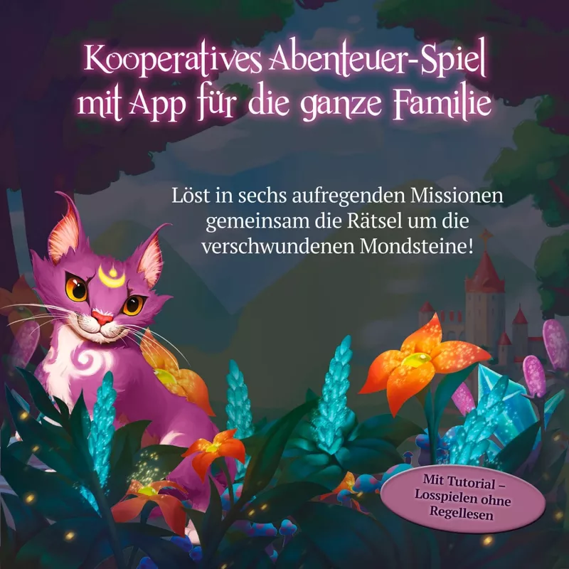 Kids Chronicles - Search for the Moonstones, Board Game