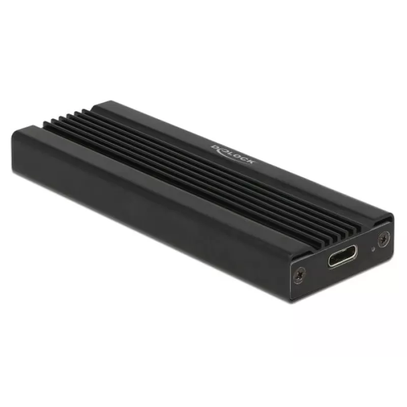 Interface Card DeLOCK 42600 USB 3.2 Gen 1