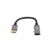 Lanberg AD-DP-HD-04 video cable adapter 0.2 m DisplayPort HDMI