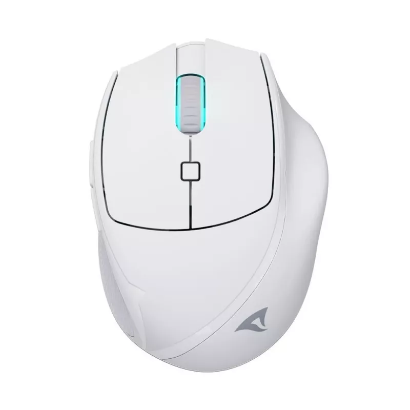 Sharkoon OfficePal M25W wireless office mouse, right-hand, 4000 DPI