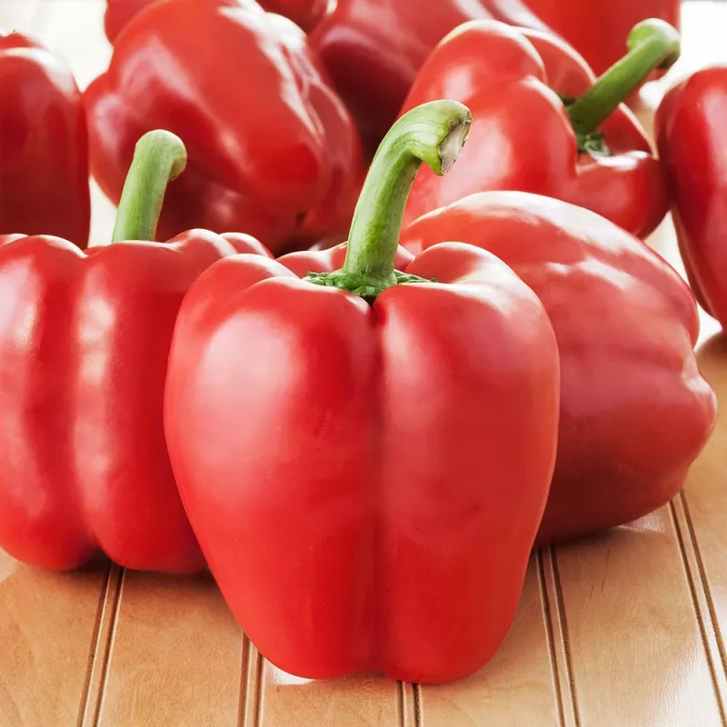 Seed Pellets Seklos LT Ożarowska Pepper 50 seeds (coated)