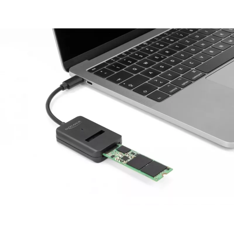 DeLOCK Combo Converter for M.2 NVMe PCIe SATA SSD USB Type-C 10 Gbps