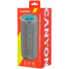 Canyon CNE-CBTSP15BG Portable Speaker Beige