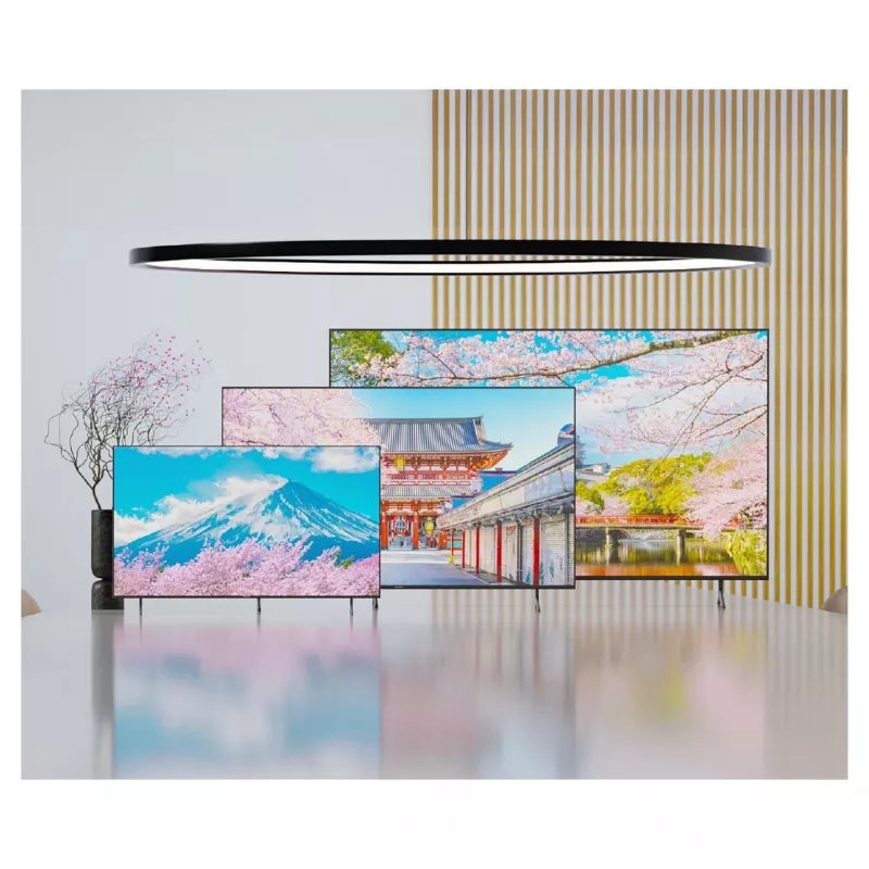 164,0cm/65 (3840x2160) JAPANNEXT JN-IPS650UHD60F 16:9 IPS 60Hz HDMI USB WLAN Speaker Black