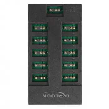 Delock - RGB LED light hub - 10 ports - Black (64128)