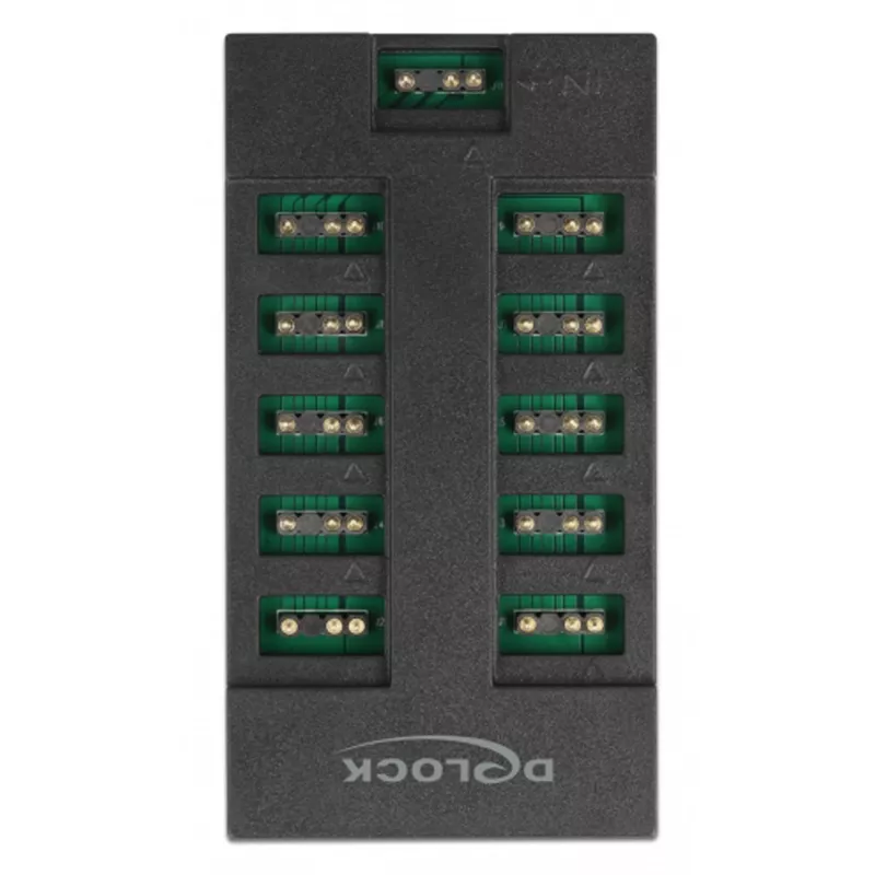 Delock - RGB LED light hub - 10 ports - Black (64128)