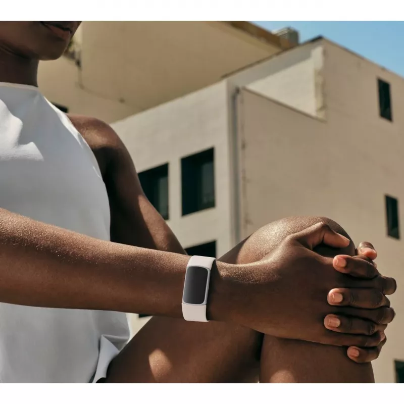 Fitbit GA05185-EU Product Silver