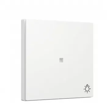 Rockers and Indicator Rocker for Gira System 55 model 367403 in Pure White (control with symbol and light)