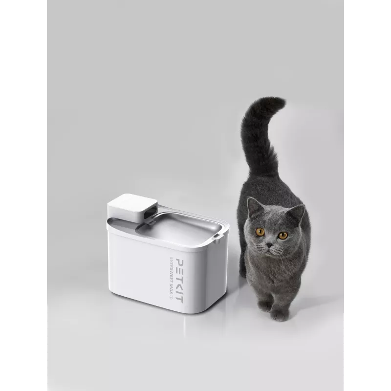 Pet water fountain PETKIT Eversweet Max 2 — 3 L capacity, BPA-free, white