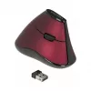 Mouse DeLOCK 12528 RF Wireless Optical 1000 DPI