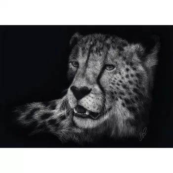 Ashley Rader: Speed - Gepard, In the Sign of Grace, Puzzle 1000 Pieces