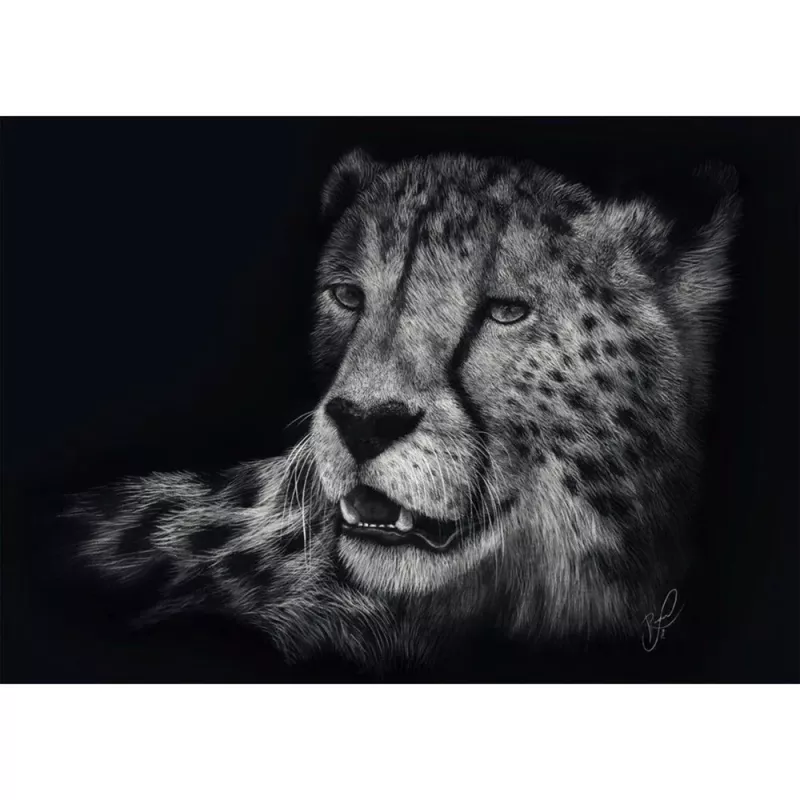 Ashley Rader: Speed - Gepard, In the Sign of Grace, Puzzle 1000 Pieces