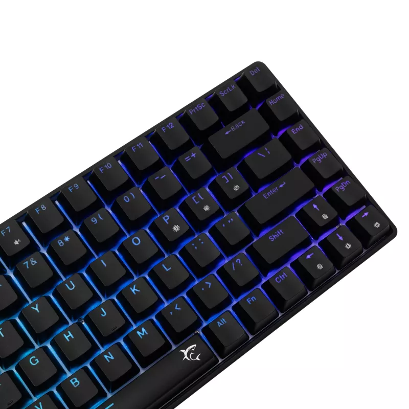 Mechanical keyboard White Shark GK-005121 with RGB lighting and Blue switches
