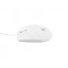 NATEC NMY-1988 mouse USB Type-A Optical