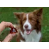 Supplement for Small Dogs CONTIPRO GELOREN Small Dog Joints 180 g gelatin-based joint support sachet