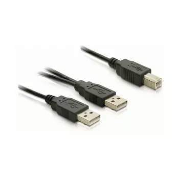 DELOCK Cable USB 2.0 B - > USB-A Power + Power / Data