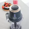 Jug blender Petra PT5393BGRYVDE