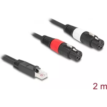 DeLOCK 88176 audio cable 2 m RJ-45 2 x XLR 3-pin Black