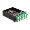 DeLOCK Fiber Optic HD Cassette MPO male to 12 x LC Duplex female 24 fibers Single-mode 9/125 µm