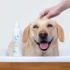 Hypoallergenic shampoo VETEXPERT 250 ml for dogs and cats — purifying, all coat types, any age
