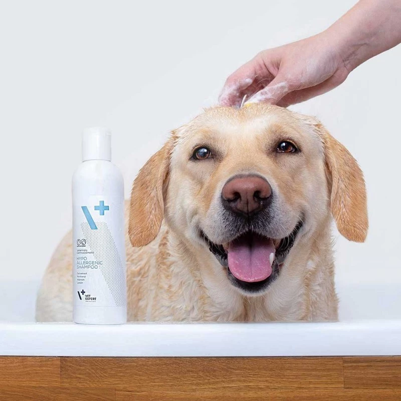 Hypoallergenic shampoo VETEXPERT 250 ml for dogs and cats — purifying, all coat types, any age