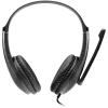 CANYON PC headset HSC-1 PC Mic Flat 2m Black