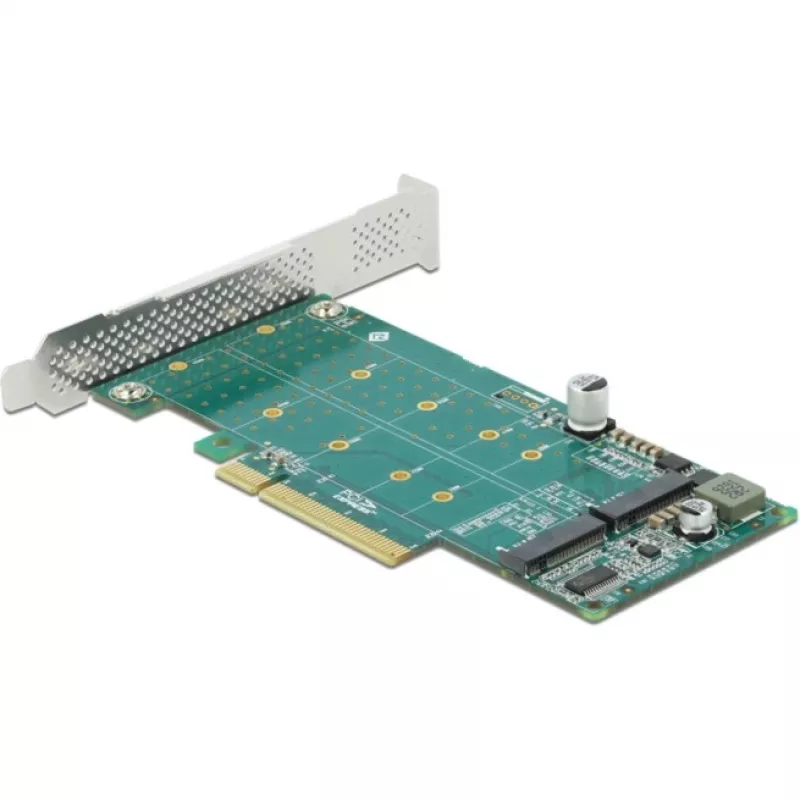 DeLOCK PCI Express x8 Card to 2 x internal NVMe M.2 Key M Bifurcation Low Profile Form Factor