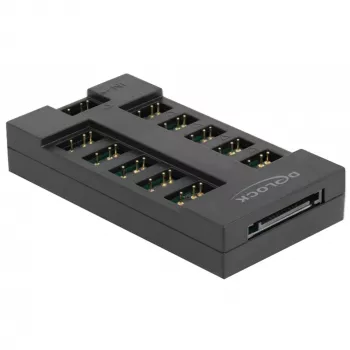 Delock - RGB LED light hub - 10 ports - Black (64128)