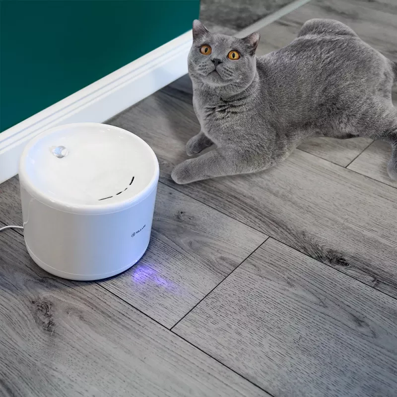 Pet water dispenser Tellur TLL331471 2L White — 2-litre automatic water bowl for cats and small dogs