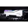 DIMM 48 GB DDR5-7200 (2x 24 GB) Dual-Kit, Memory Silver, F5-7200J3646F24GX2-TR5S, Trident Z5 Royal, INTEL XMP
