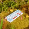VGN V98 Pro Gaming Keyboard, Box Autumn - Maple Sugar Limited Edition (US)