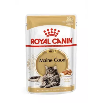 ROYAL CANIN FBN Maine Coon - Cat wet food - sachet 12x 85g