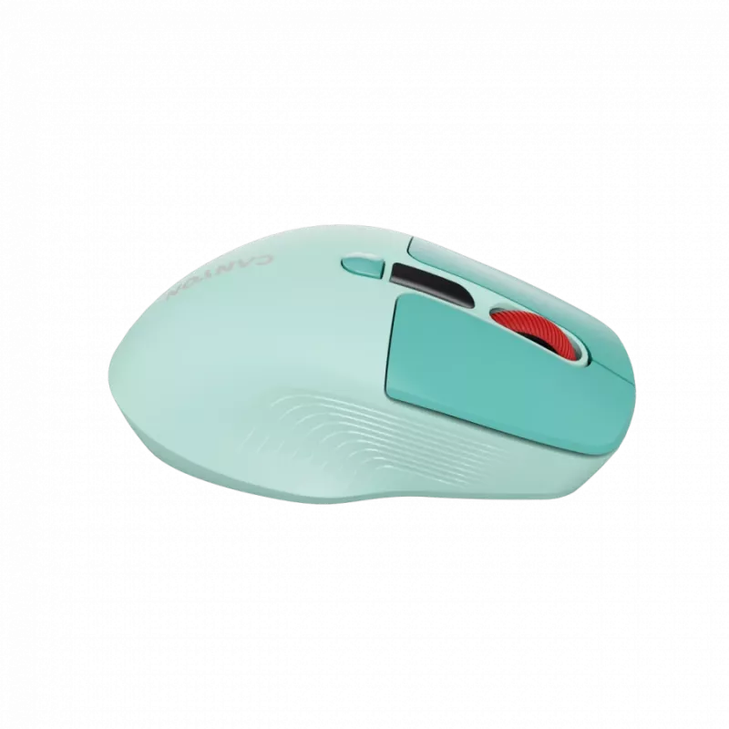 Canyon MW-26 - 2in1 wireless optical mouse Bluetooth / 2.4 GHz - silent - green