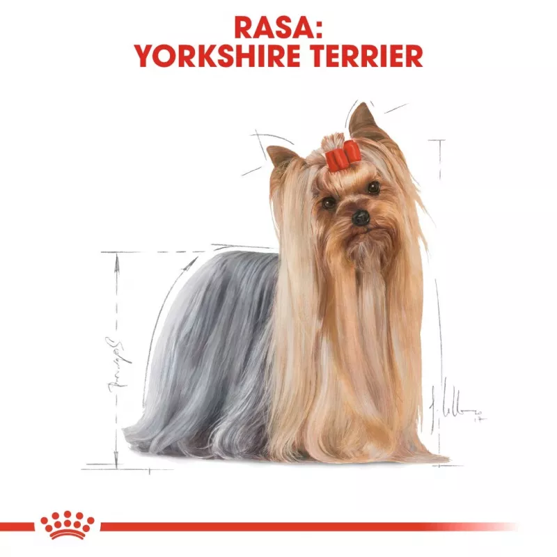 ROYAL CANIN BHN Yorkshire Terrier Adult - dry dog food - 3kg