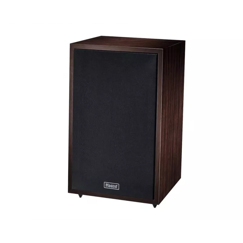 Floorstanding speaker Magnat TRANSPULS 800A 2-way wired & wireless 2×60 W, Bluetooth 5.0, HDMI, Black/Brown