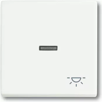 Busch Jaeger 1751-0-3031 Light Switch White Plastic (1751-0-3031)