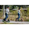 Razor A5 Lux Light-Up Classic Scooter, Green/Multicolour, 200 mm Light-Up Wheels, Foldable, 100 kg Max Load