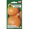 Seeds — Apte Dynia Olbrzymia Dolores (giant pumpkin) seeds, packet 5 g